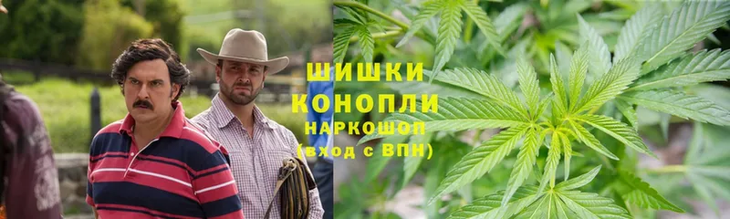 Каннабис SATIVA & INDICA  купить наркотики цена  Михайловск 